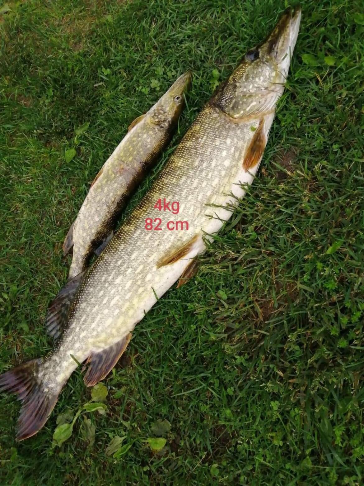 Pokoje U Izy Stare Kiejkuty Szczytno  Esterno foto